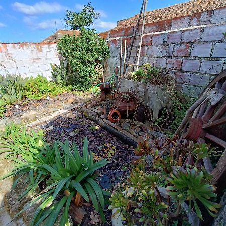 Villa Casa Da Avo Do Puto Mealhada Esterno foto